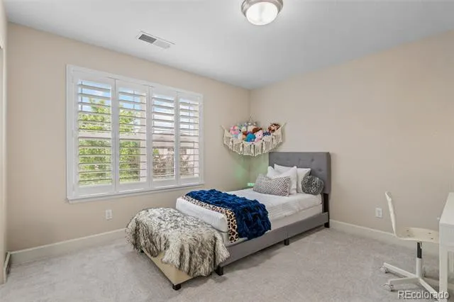 4133 Zodiac Place Castle Rock, CO 80109