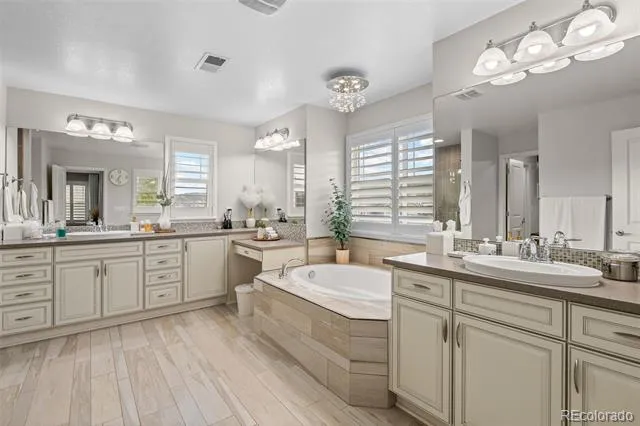 4133 Zodiac Place Castle Rock, CO 80109