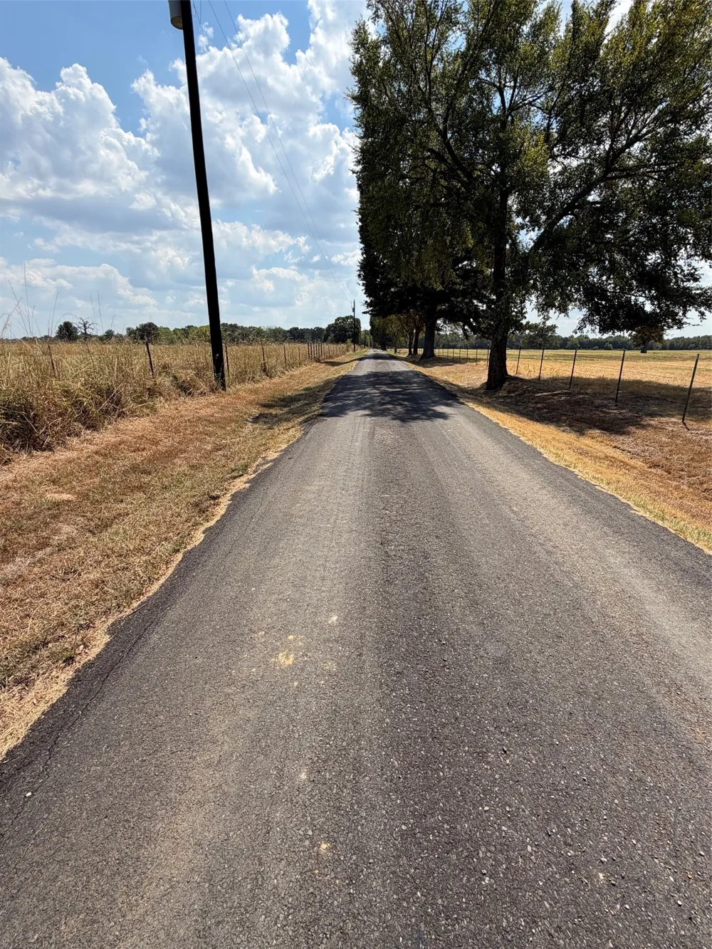1196 RS County Road 3220 Emory, TX 75440