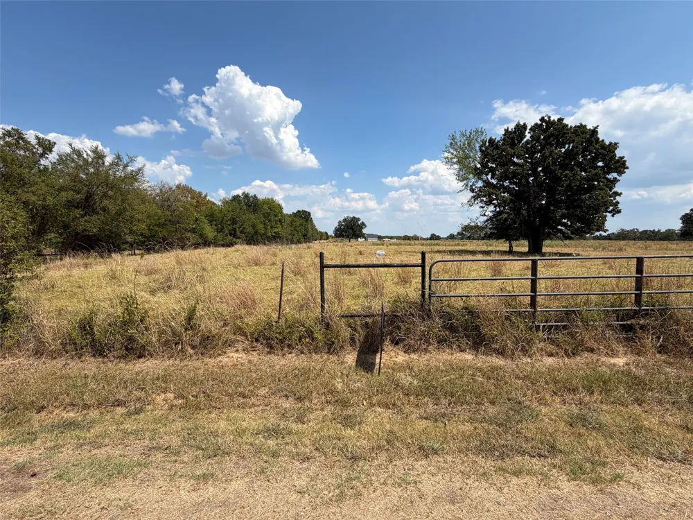 1196 RS County Road 3220 Emory, TX 75440