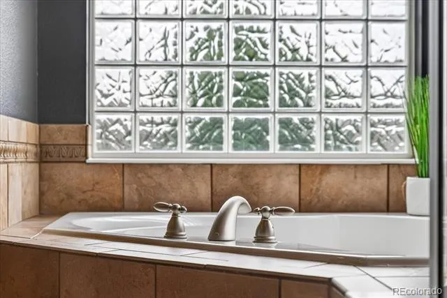 7414 Halite Court Castle Rock, CO 80108