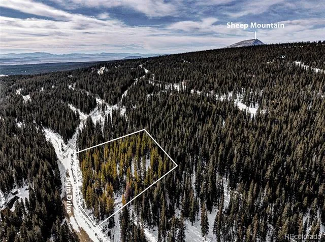 345 Bum Drive Fairplay, CO 80440