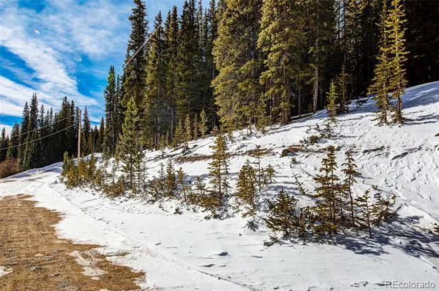 345 Bum Drive Fairplay, CO 80440