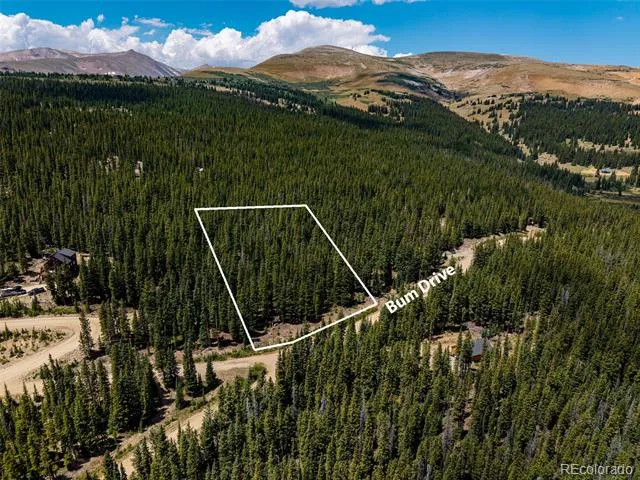 345 Bum Drive Fairplay, CO 80440