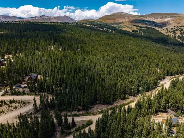 345 Bum Drive Fairplay, CO 80440