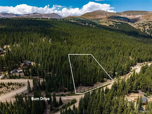 345 Bum Drive Fairplay, CO 80440