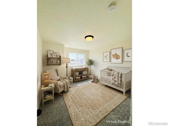 822 Finch Drive Severance, CO 80550