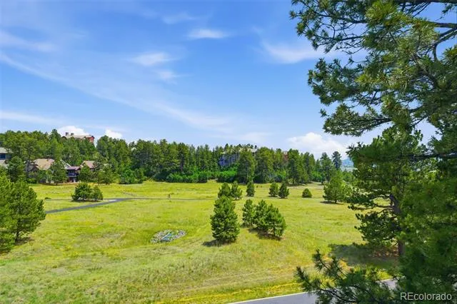 4204 Morning Star Drive Castle Rock, CO 80108