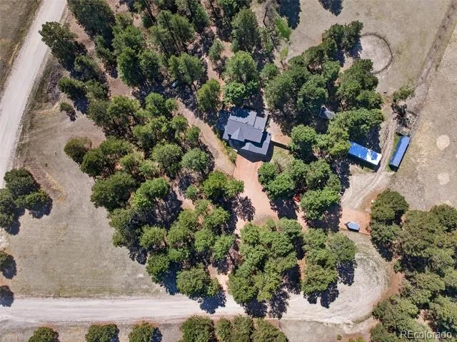 9364 Elkmont Court Peyton, CO 80831