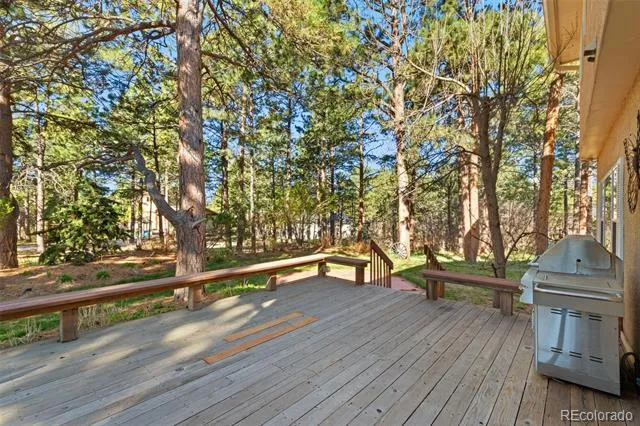 19850 Indian Summer Lane Monument, CO 80132