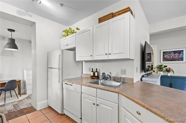 325 E 18th Avenue #107 Denver, CO 80203