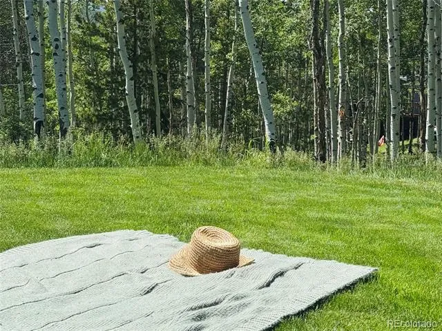 9030 Rex Lane Conifer, CO 80433