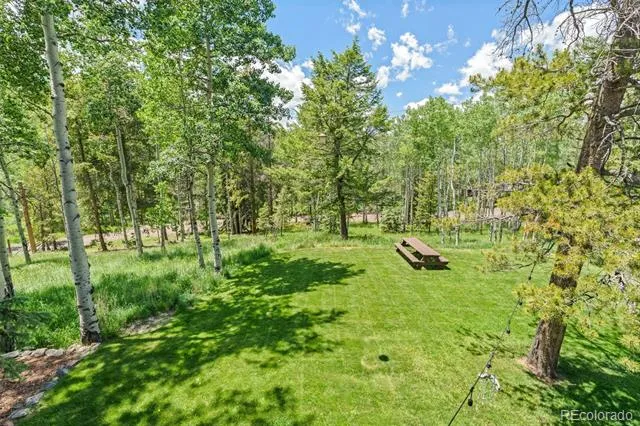 9030 Rex Lane Conifer, CO 80433