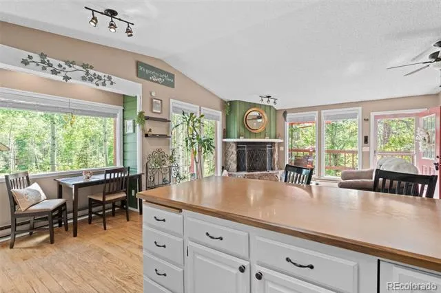 9030 Rex Lane Conifer, CO 80433