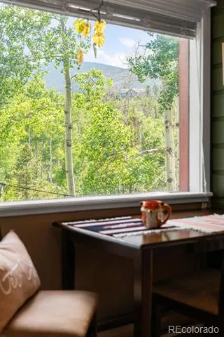 9030 Rex Lane Conifer, CO 80433