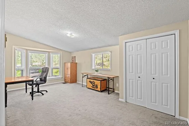 9030 Rex Lane Conifer, CO 80433
