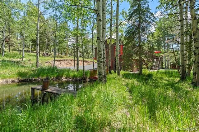 9030 Rex Lane Conifer, CO 80433