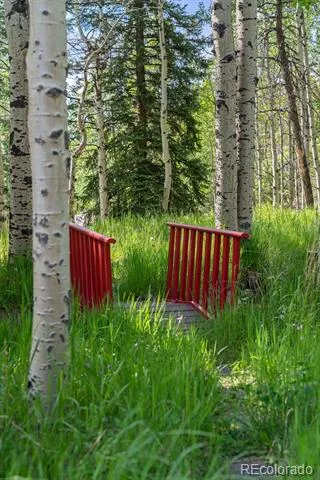 9030 Rex Lane Conifer, CO 80433