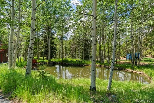 9030 Rex Lane Conifer, CO 80433
