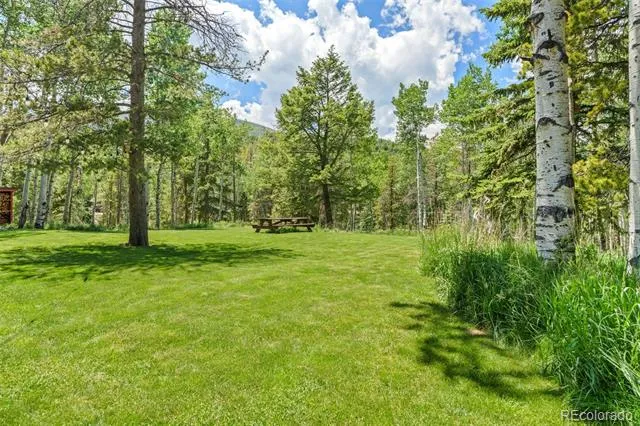 9030 Rex Lane Conifer, CO 80433