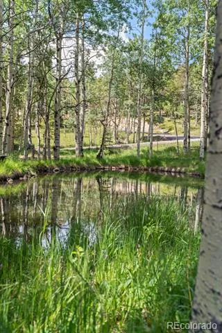 9030 Rex Lane Conifer, CO 80433