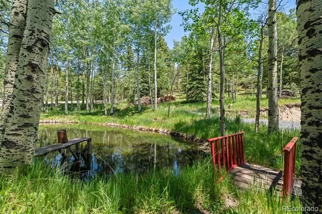 9030 Rex Lane Conifer, CO 80433