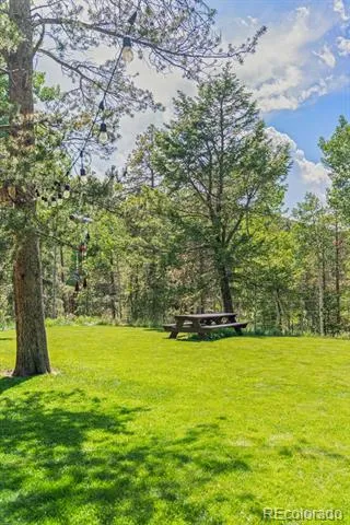 9030 Rex Lane Conifer, CO 80433