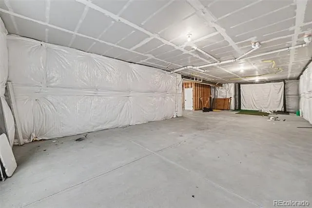 1656 Flourish Drive Windsor, CO 80550