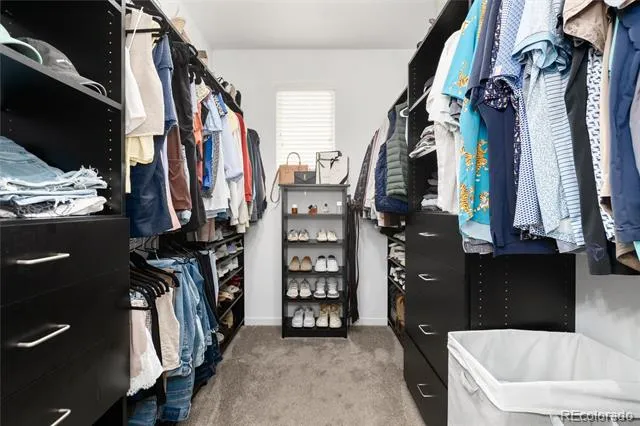 11886 Chipper Lane Parker, CO 80134