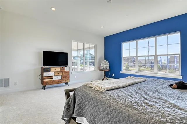 3734 Doubletrack Lane Castle Rock, CO 80108