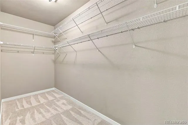 8149 Misty Moon Drive Colorado Springs, CO 80924