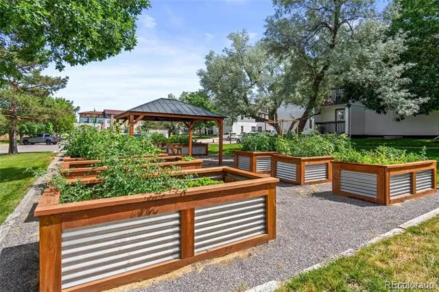 532 Oakwood Drive #D103 Castle Rock, CO 80104