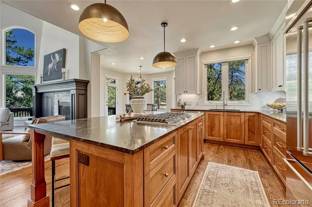 5389 Pinyon Jay Road Parker, CO 80134