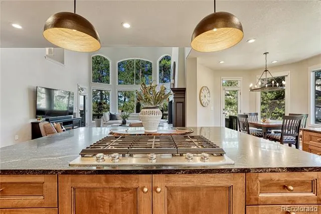 5389 Pinyon Jay Road Parker, CO 80134