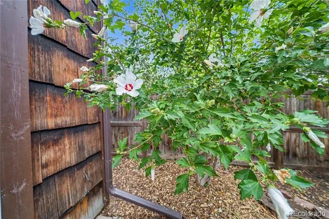 3520 Arthur Court #3 Boulder, CO 80304