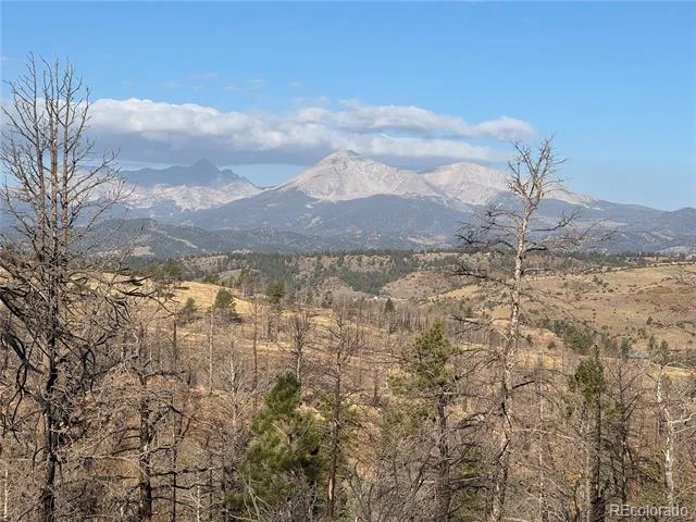 Forbes Park Rd Fort Garland, CO 81133