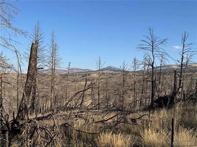 Forbes Park Rd Fort Garland, CO 81133