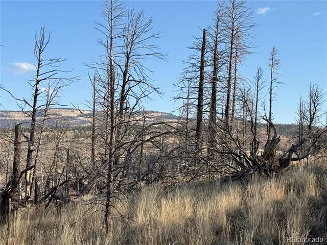 Forbes Park Rd Fort Garland, CO 81133