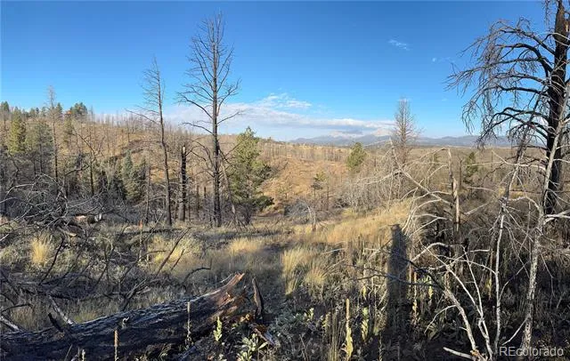 Forbes Park Rd Fort Garland, CO 81133
