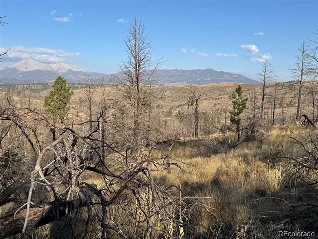 Forbes Park Rd Fort Garland, CO 81133