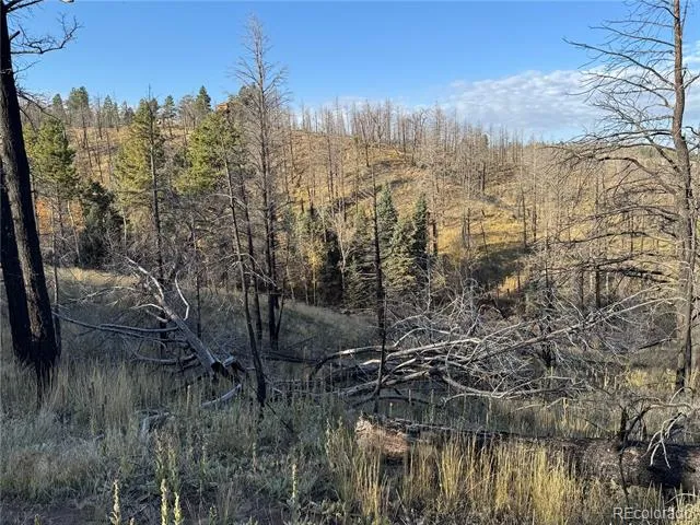 Forbes Park Rd Fort Garland, CO 81133