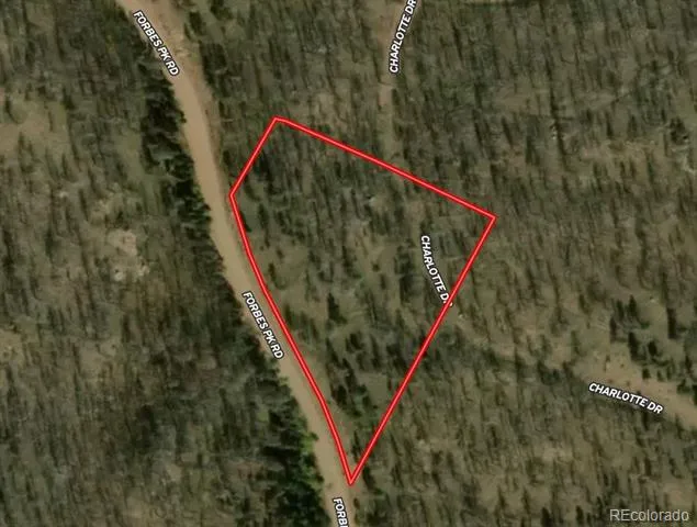 Forbes Park Rd Fort Garland, CO 81133