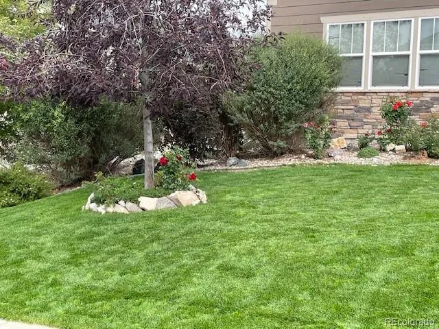 5900 Echo Hollow Street Castle Rock, CO 80104