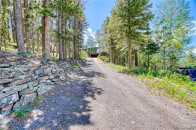 96 Ponderosa Drive Nederland, CO 80466