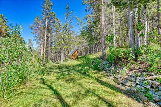 96 Ponderosa Drive Nederland, CO 80466