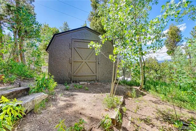 96 Ponderosa Drive Nederland, CO 80466