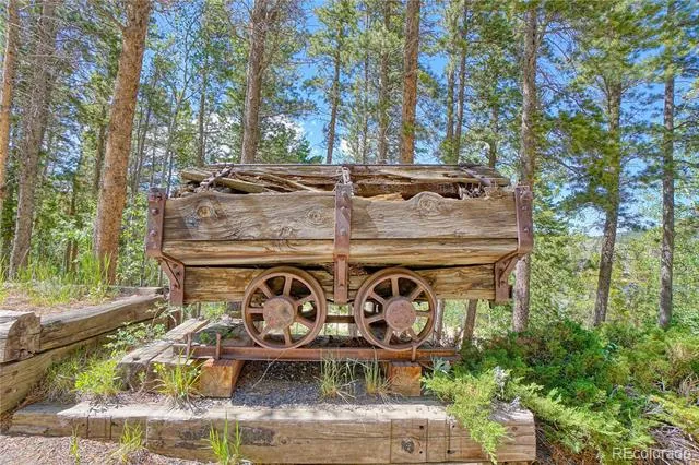 96 Ponderosa Drive Nederland, CO 80466