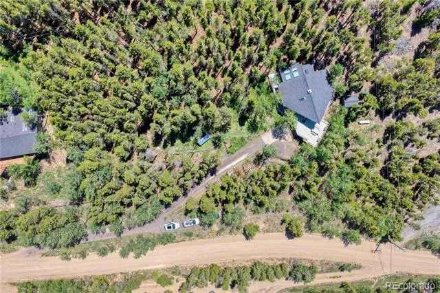 96 Ponderosa Drive Nederland, CO 80466