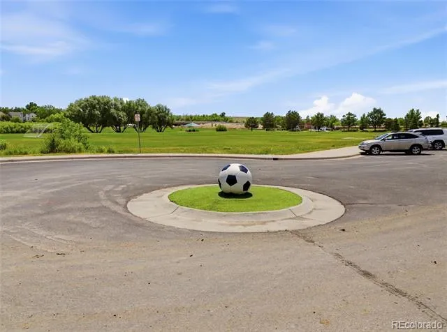 18657 Stroh Road #4206 Parker, CO 80134
