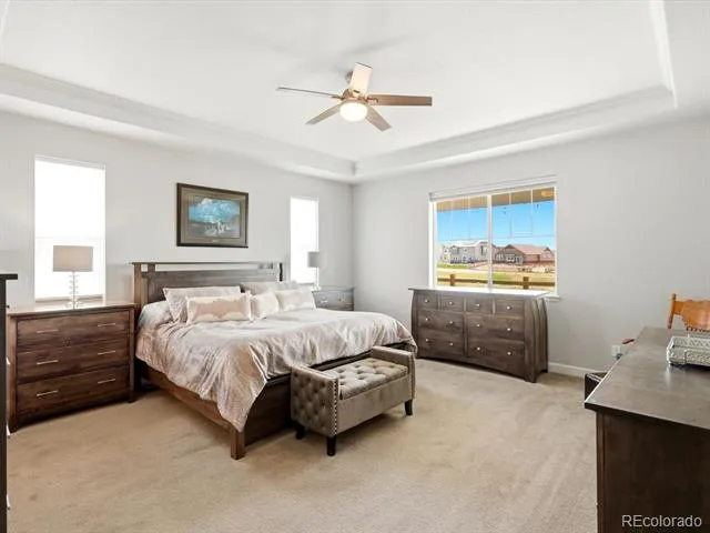 10937 Ouray Street Commerce City, CO 80022